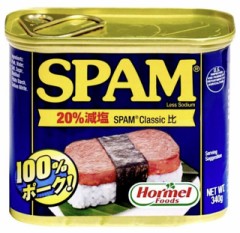 毎月私の月収の３割をお渡ししたいと考えています。