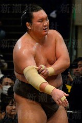 それはないぜ白鵬様