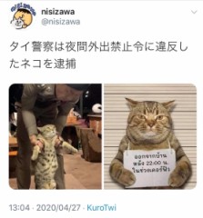 本当のワル
