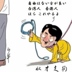 犬になった英雄