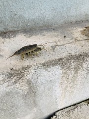 【お題日記】今日いけるなと、思った瞬間