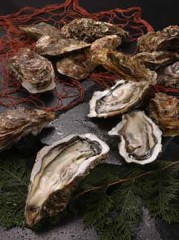 カキがお安くなっております。