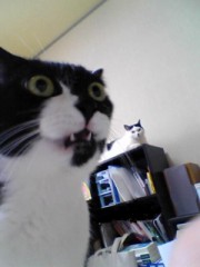 普通の休みでした。