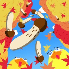 すっかり寒くなりましたね……