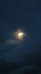 【お題日記】2番目に好きな人と結婚した方が幸せ？