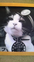 ちょっと忙しい日々