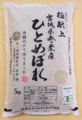 【お題日記】恋する力ってどんな力？