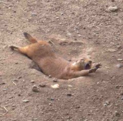 （´3｀）・・・・