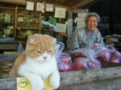 年金で１９万飛んだ・・・(´；ω；｀)