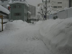 東北旅行記＆写真館その２：雪スゴッ(*o*)！！（横手にて）