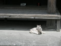 旅の想い出～総括～