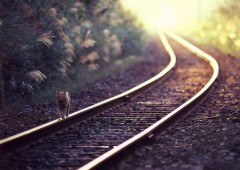 ♪アシタ～ワ～タ～シハ～タビニデマッスゥ～♪