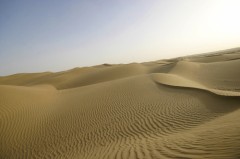 魂を鎮める一曲・・