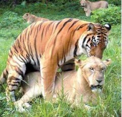 改めてお初になりますｗｗｗ