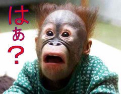 取り急ぎ更新ｗ