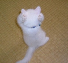 自信あります？