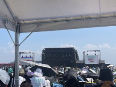 夏フェスに行きました。