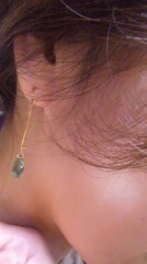 気に入りました