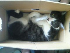 おそよう・・・