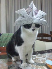 今日は端午の節句です