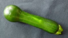 自然の妙････