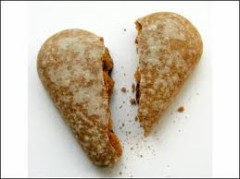 メガネは身体の一部です！！というより、メガネが本体です。