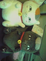 【お題日記】寒い季節のあったか対策、何をしますか？