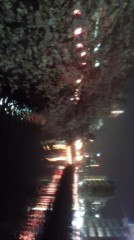 【お題日記】桜が開花！お花見には行きますか？