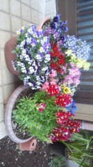 【お題日記】思いやりって何だろう？