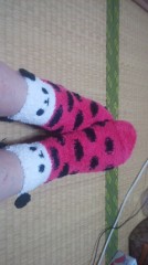 【お題日記】今日はいい日になりそう？