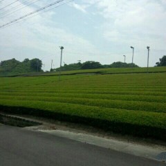 【お題日記】性生活 充実している？