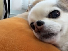 救って欲しい。