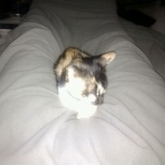 pussy between my thighs