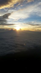 【お題日記】夏と言えばコレ！