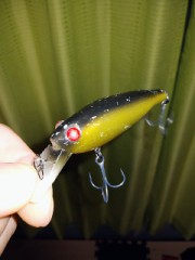 【お題日記】オリジナルグッズ作ったことある？