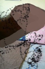 久しぶりに画像ー