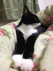 エロは俺を救う