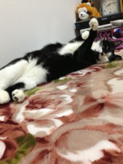 オナニー貯金発表