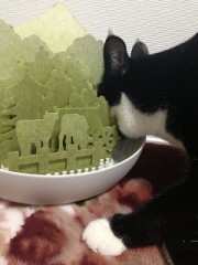 遊び行ったりイチャイチャしたり