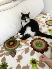 イチャイチャエロエロ