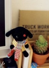 やったーー！！