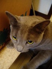 今日も雨・・・。