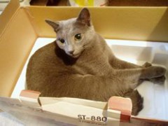 どんより・・・