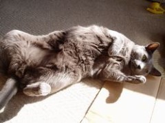 なやましい～＾＾