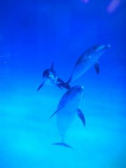 最初は怖いけど。