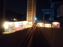 アイスキャンドル♪