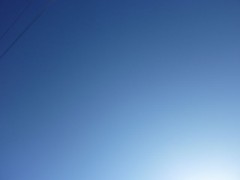 2011年度スタート