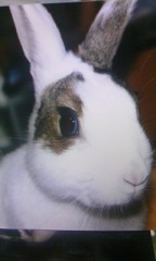 アキちゃん 合格～テレビデビュー？