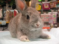 サイトって 危険…？！