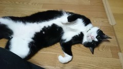 【お題日記】どこからが浮気ですか？